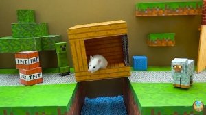 Хомячок сбегает из опасного огненного лабиринта! часть 9