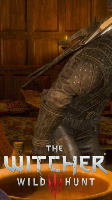 Какой из Геральта поэт  The Witcher 3 - Wild Hunt