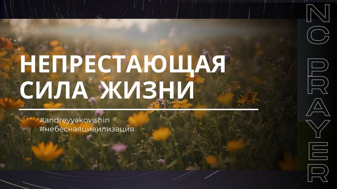 НЕПРЕСТАЮЩАЯ СИЛА ЖИЗНИ ✦ МОЛИТВА ✦ Андрей Яковишин ✦ @Nebesnaya_civilizacia ✦ Молитвенная Практика
