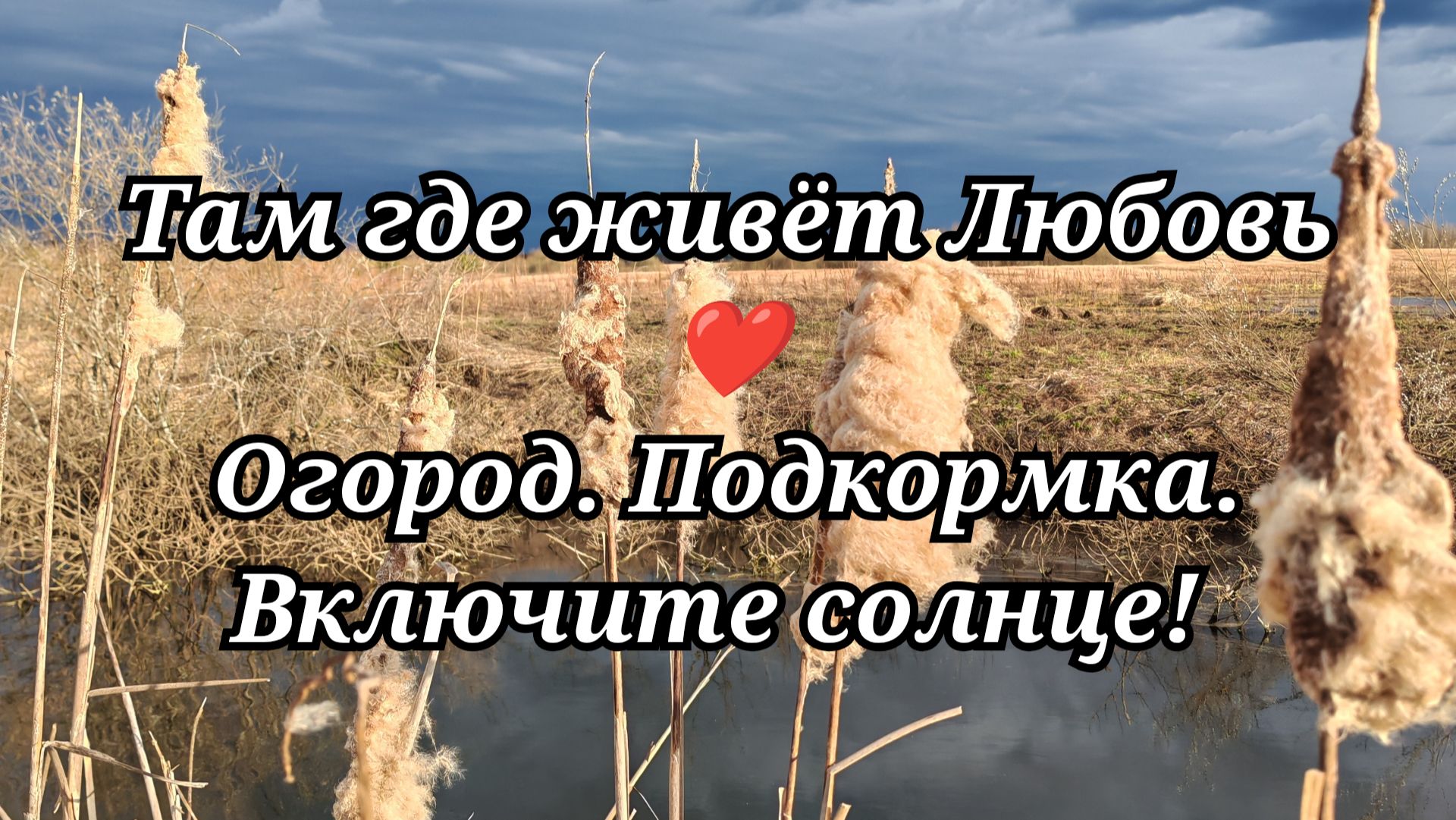 #119 Огород. Подкормка. Включите солнце!