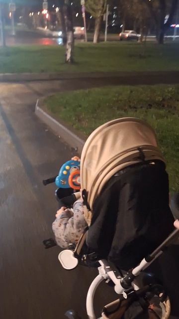 прогулка перед сном