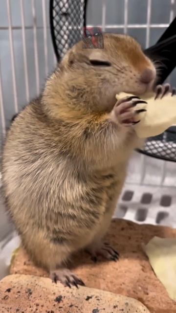 Всем отличного настроения 😎🫶😼