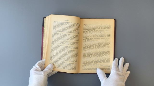 Фокин Н.Н. Охота и охотники (Антикварная книга 1908г.)