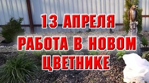13 апреля. Начала обрабатывать новую большую клумбу