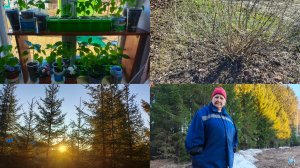 Работаю в огороде ,а машина то сломалась.