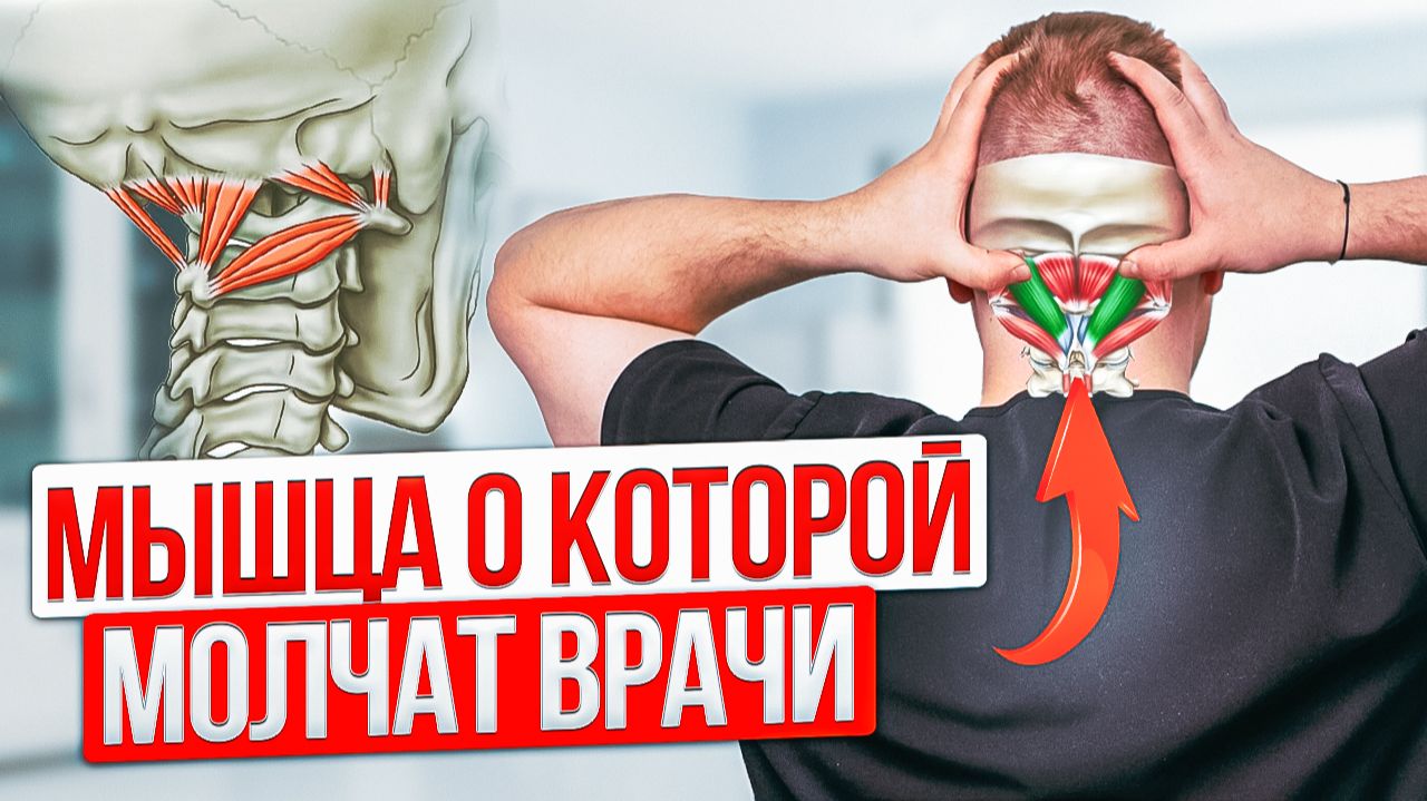 Расслабь ШЕЮ за 5 минут! Как 4 мышцы влияют на боль в ШЕЕ