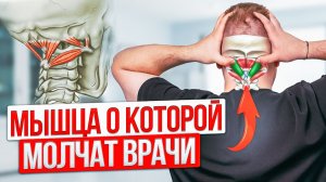 Расслабь ШЕЮ за 5 минут! Как 4 мышцы влияют на боль в ШЕЕ