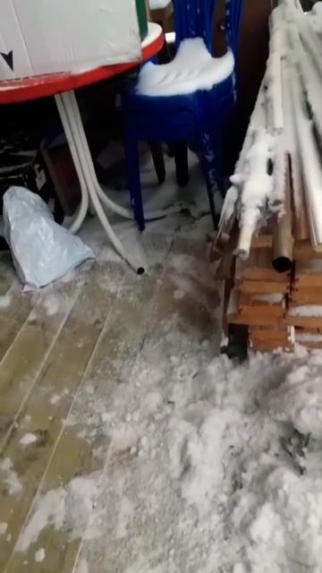 Арктический Босяндр🐱😻🐯🤣