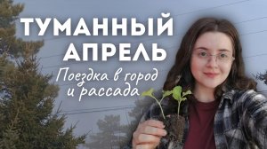 Жизнь в деревне весной: рассада, поездка в город и простые дела