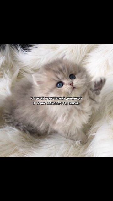 отправляй своей прекрасной девушке 
#рекомендации #любовь #yappy #вреки