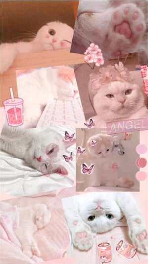 игра в майничик☺♡☺