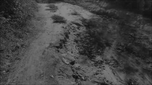 Огни - С.А. ( Стихи Мои, музыка , голос ИИ)