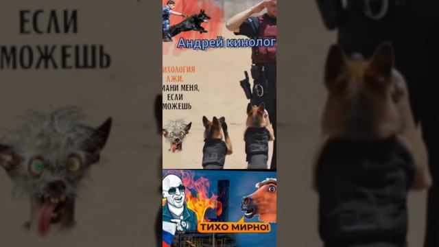 Здравствуйте давайте деньги.