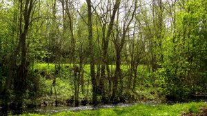 Первое мая 2025 года