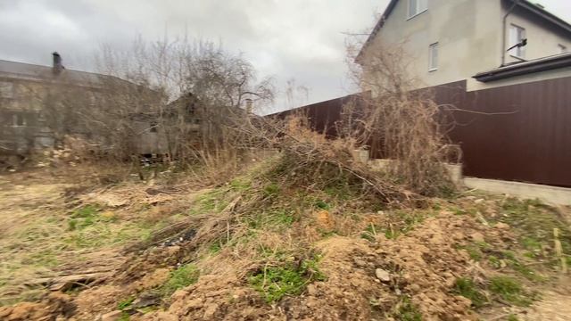 copy_141C4725-9181-4815-9510-9D09F8DCF70D