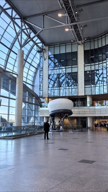 20260415_Мария Чайковская_Красота.mp4