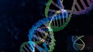 Матрица ГАРЯЕВА. Исцеление и регенерация организма. Андрей Тиртха объясняет как работает матрица.