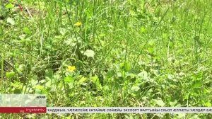 Цæгат Ирыстоны кæнынц эпидемиологон уавæрмæ джыбыты инфекциты парахатмæ