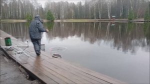 Поимки форели на актив и донки. Обзор с Нижнего пруда. Клёвое место лосиный остров