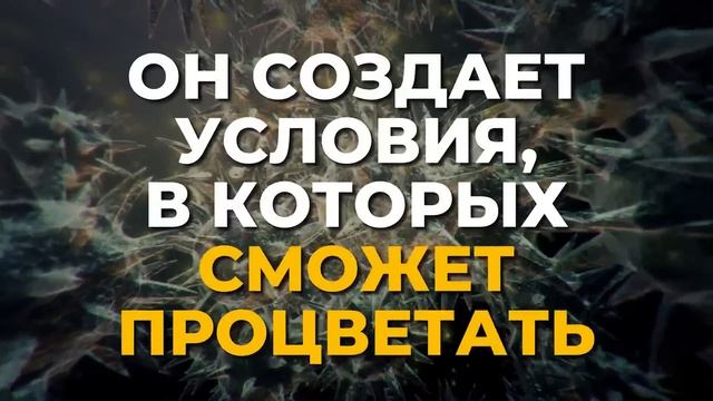 Как избавиться от папиллом и бородавок за ОДНУ ночь 👀