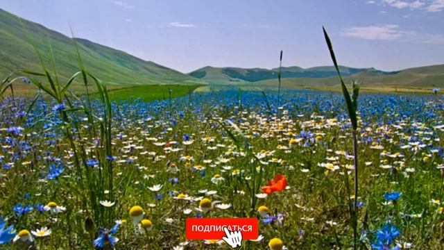 Дивный луг.mp4