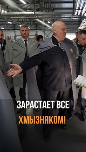 Лукашенко: «Вот она - бесхозяйственность!»
