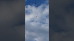 г Мариуполь друга жучки 🔥🔥🔥11 апреля