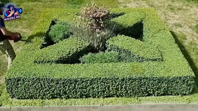 Incredible Moments Caught On Camera #14 _ Best Of 2025