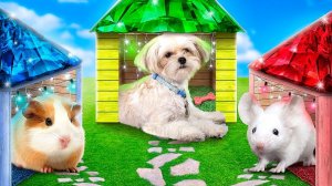 Строим секретные домики для животных Изумруд Рубин и Бриллиант