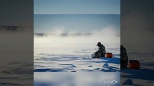 Один на льдине среди моря ( Еженедельник Аргументы и факты за 11.03.1998 года)