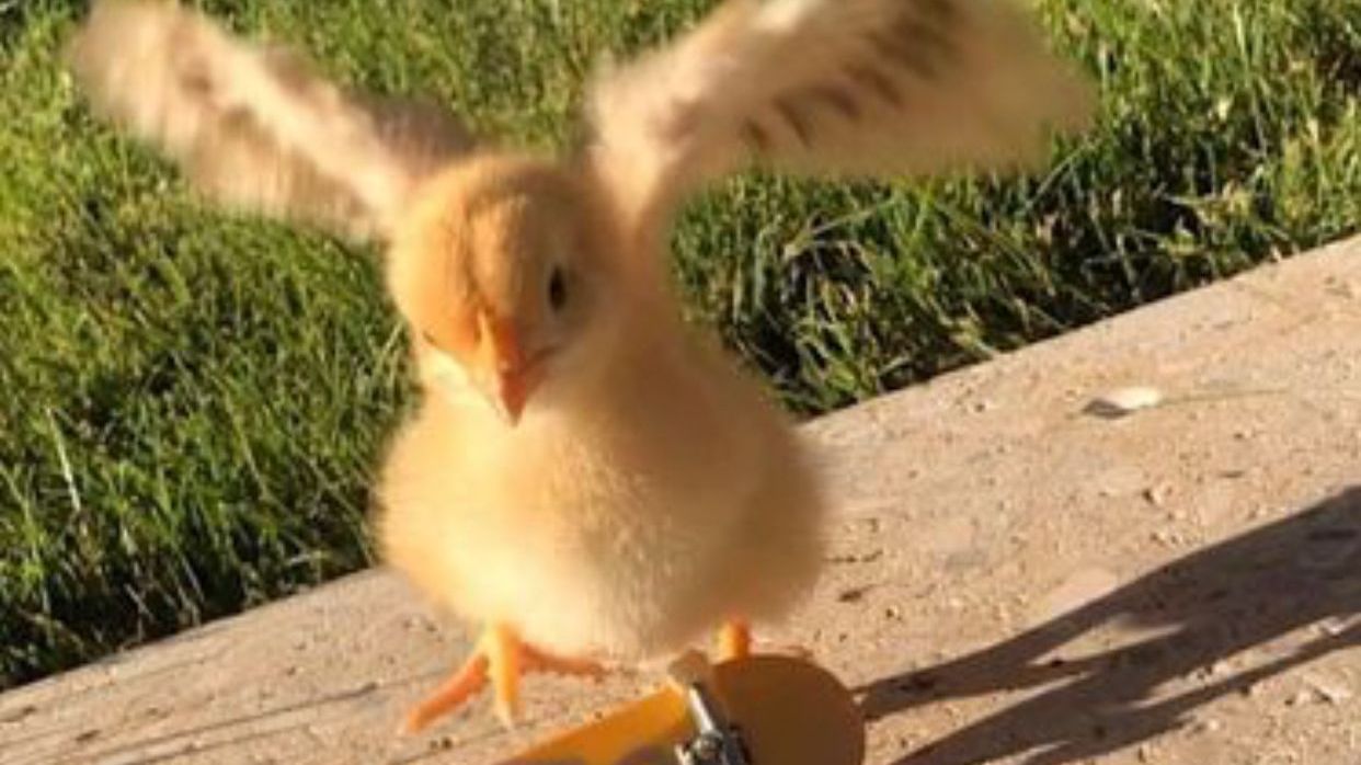 НОВОСТИ (ЧАСТЬ 4)