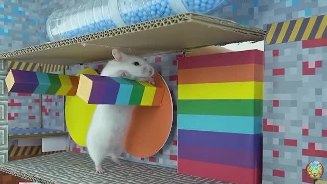 Хомячок сбегает из опасного огненного лабиринта! часть 11