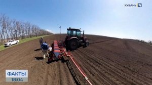 Аграрии приступили к севу подсолнечника в Краснодарском крае