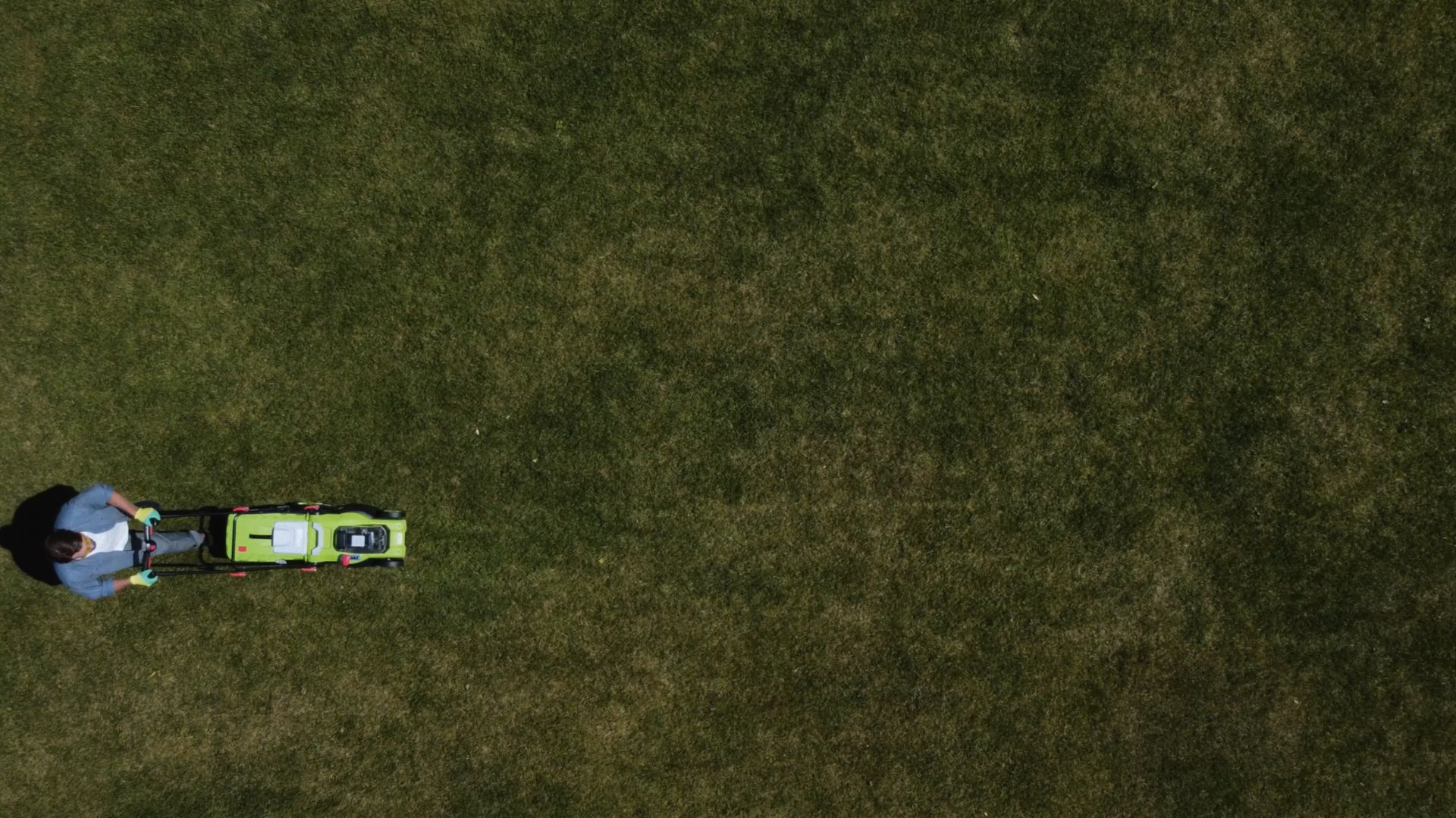 О ЧЁМ МЕЧТАЕТ ВАШ САД