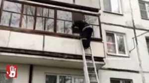 В СК возбудили уголовное дело после инцидента с 5-летней девочкой на балконе