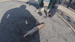 Спиннинг на Набережной 15 апреля 2026