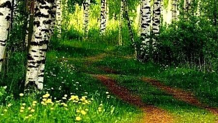 ВЕСЕННЕЕ НАСТРОЕНИЕ 🪻🪻🪻🌈