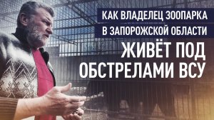 Вопреки ударам ВСУ: как живёт зоопарк у передовой в Запорожской области