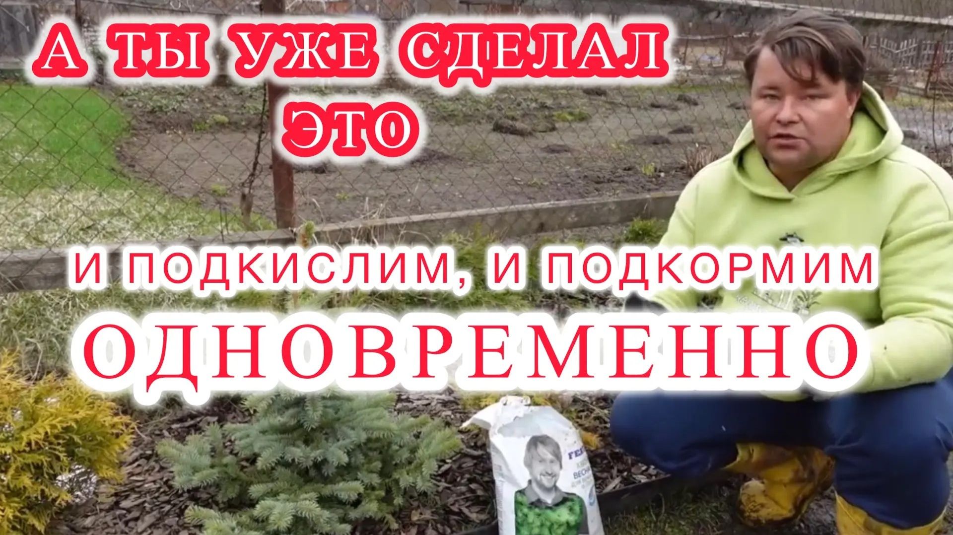 Когда и чем кормить кислолюбивых, а так же разбираем правила посадки.