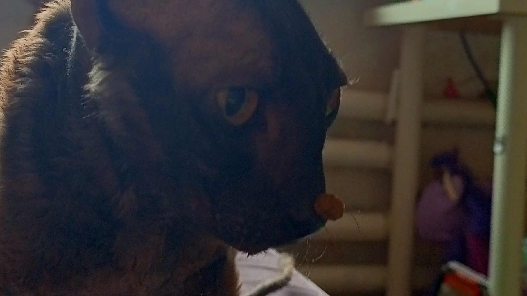 наоми так изменилась за 4 года🤯