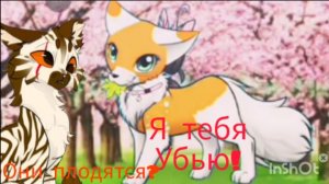 Реакция на ВИШНЮ КВ! СЬЮШКА РУТУБА!!!!! НЕТ СЛОВ!