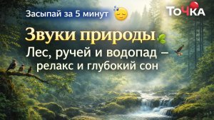 Музыка природы 🌿 Лес, ручей и птицы — слушать бесконечно