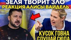 «Хватит кормить войну!»: Алиса Вайдель требует прекратить помощь Украине