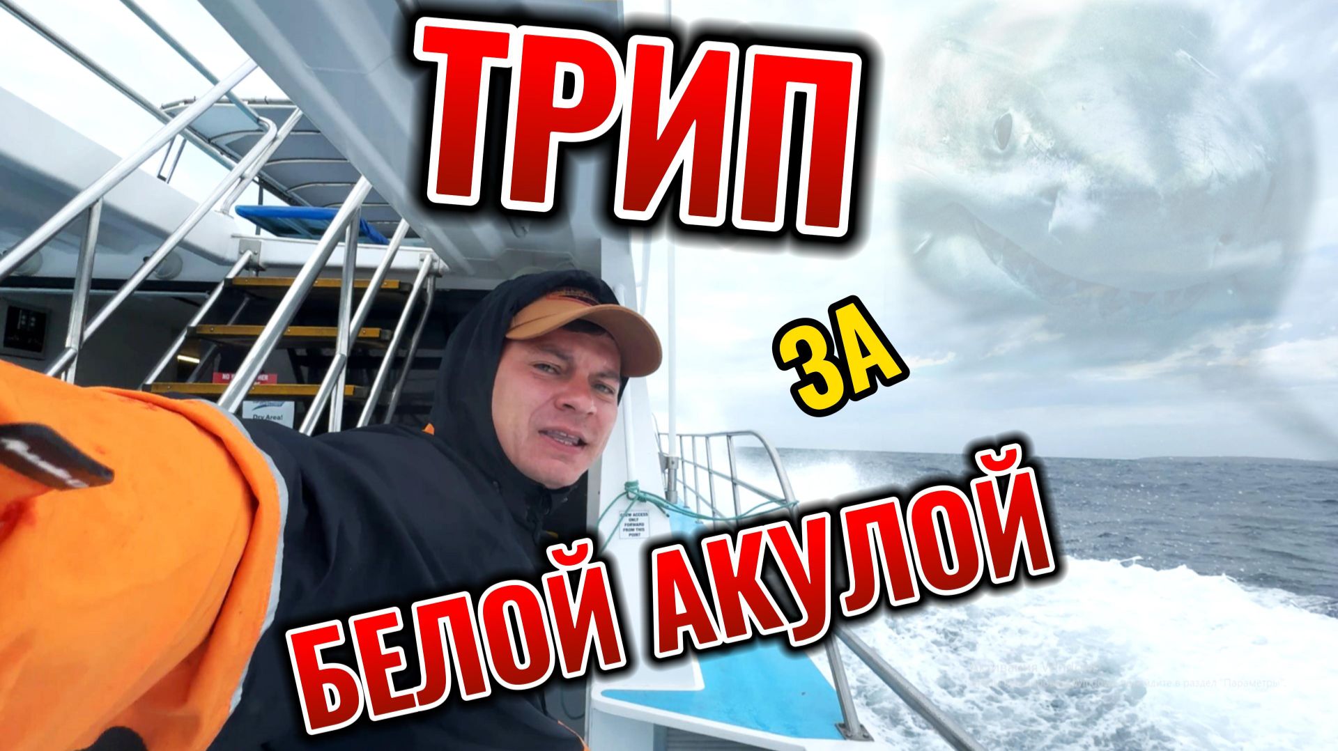 ТРИП ЗА БЕЛОЙ АКУЛОЙ