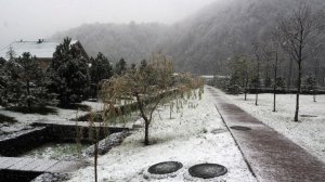 Весна отменяется: Сочи накрыл ледяной шторм