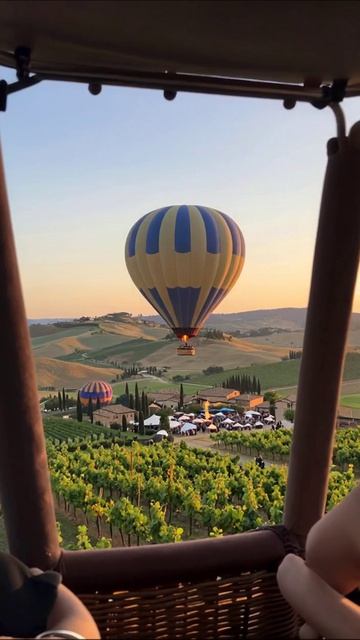 Незабываемый полет на воздушном шаре над виноградниками #воздушныйшар #вино #путешествия
