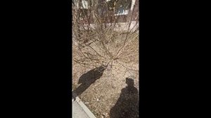 влок моего дня