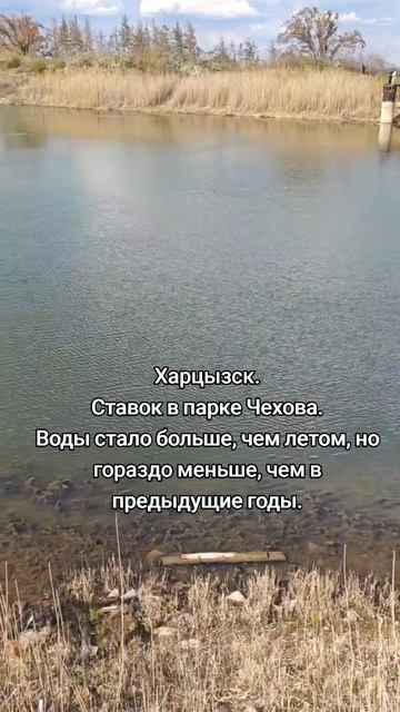 Харцызск. Ставок в парке Чехова