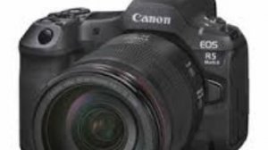 pain-реальность(мини-клип)(2026)(131 подписчик)