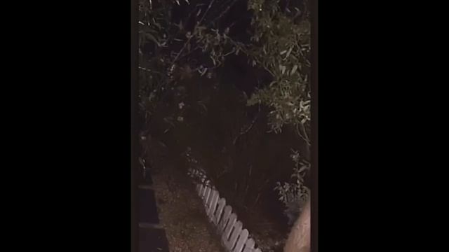 Страшные и мистические ролики Ч.2 [МИСТИКА]